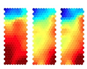 autoimmun-konverzio-d00001CBD67ef68964a52