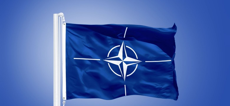 Werset z Koranu na wizerunku psa. Siły NATO w Afganistanie przepraszają za "bardzo obraźliwą" ulotkę