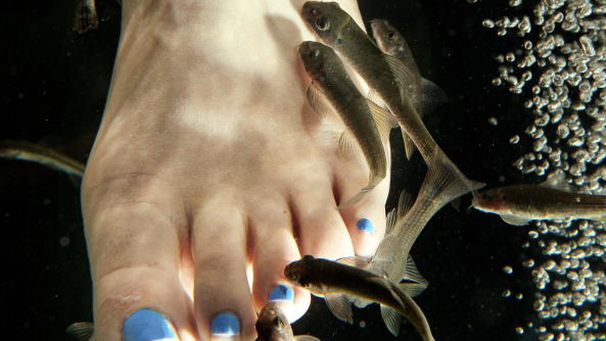 The First Fish Spa Therapy Opens In London