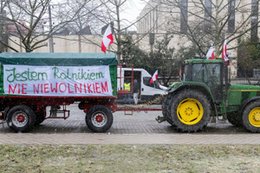 Nadprodukcja zboża. Cena pszenicy spadła najniżej od 2021 r.