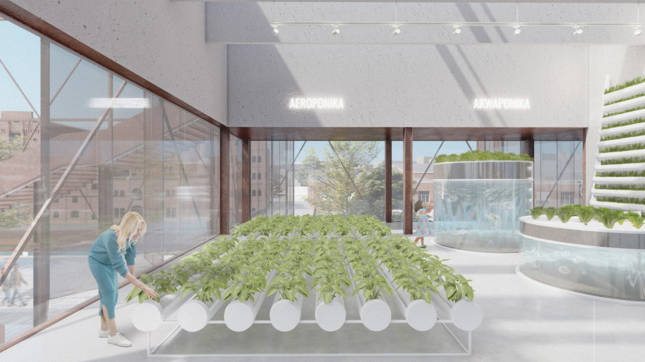 Sala eksponująca nowoczesne uprawy roślin - aeroponikę i aquaponikę