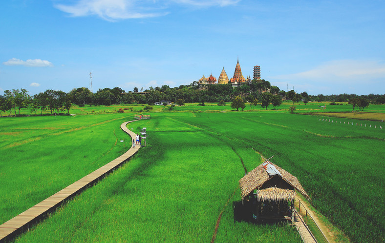 Pola ryżowe  na tle świątyni Wat Tham Sua, Kanchanaburi 