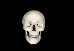 Żenujące i nieśmieszne. Recenzujemy spoty wyborcze polityków. WIDEO