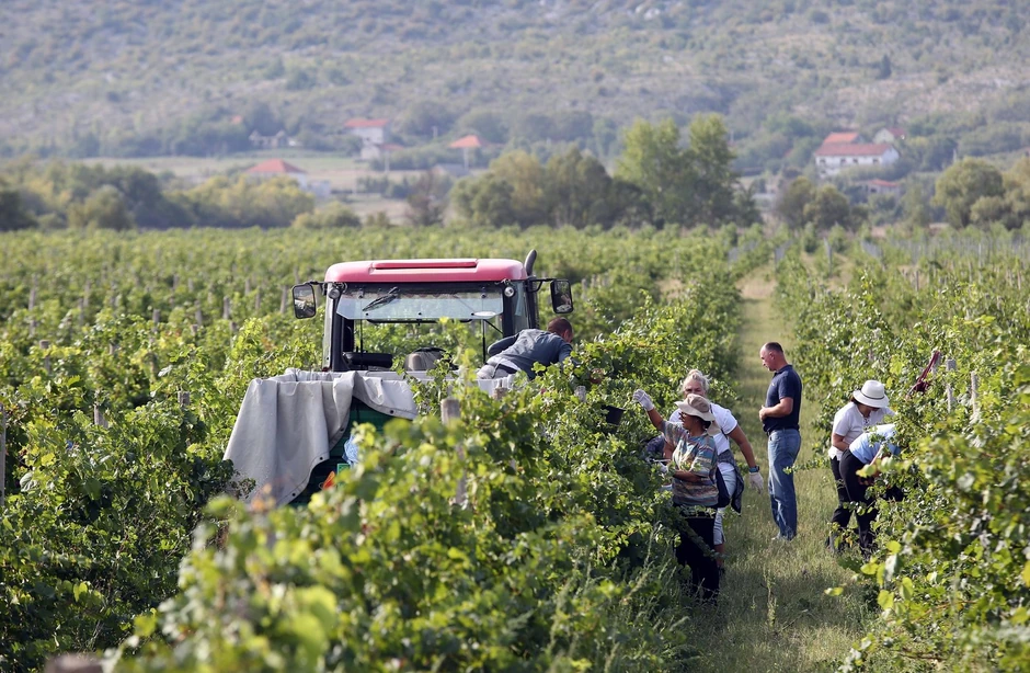 Drniški kraj, arhiva