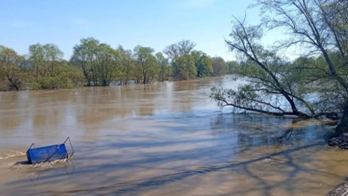 (FOTO) DRAMA NA VELIKOJ MORAVI! Muškarac ispao iz čamca i počeo da se davi: Heroji iz Jagodine ga izvukli U POSLEDNJOJ SEKUNDI