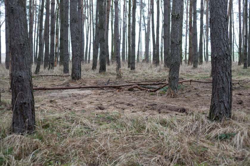 Zabili znajomego za... wybitą szybę