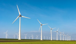 Gra w zielone wymaga odwagi