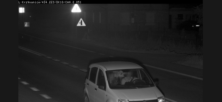 Chroniła wnuczka za wszelką cenę, ale GITD i tak wyśledził winnego kierowcę. W jaki sposób?
