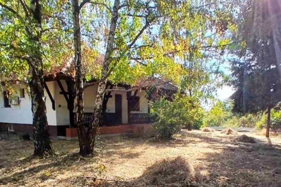 (FOTO) UŠUŠKANO IMANJE I MALA, PRIZEMNA KUĆA OKRUŽENA DRVEĆEM Zavirite na seosko imanje Milice Milše i Žarka Jokanovića: "Idila"