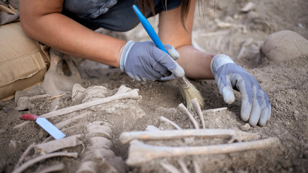 Naukowcy zbadali szczątki sprzed tysięcy lat. Wynik badania szokuje