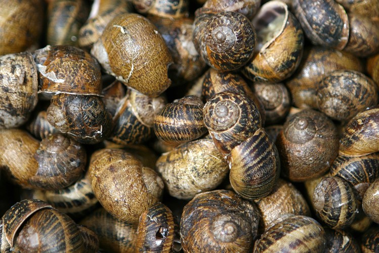 Majorka. Wszystko, co najlepsze w Hiszpanii