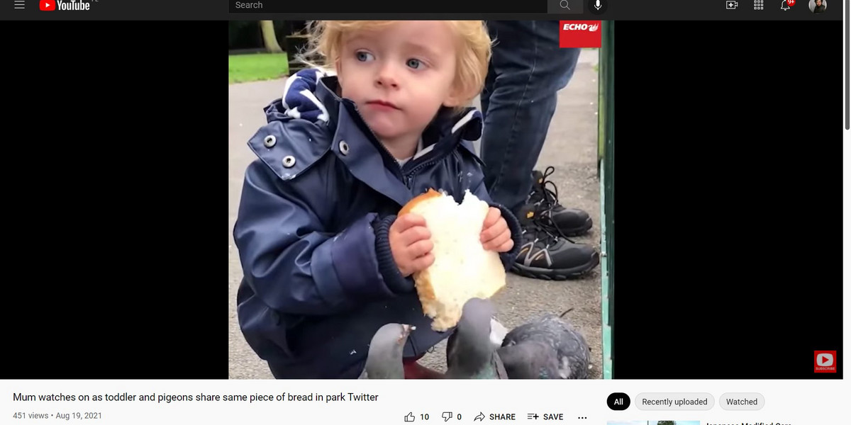 Urocze wideo. Chłopiec podzielił się chlebem z gołębiem