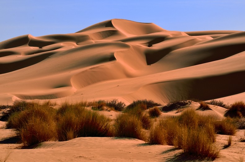 Sahara