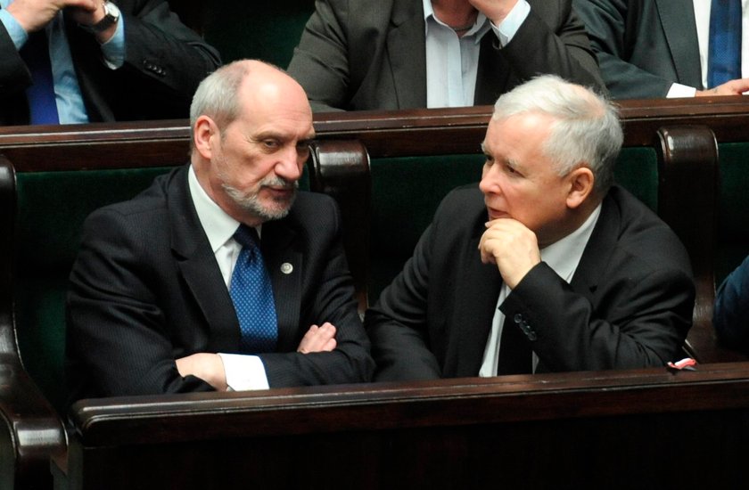 Misiewicz wróci! Macierewicz sprzeciwia się Kaczyńskiemu