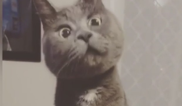 kev