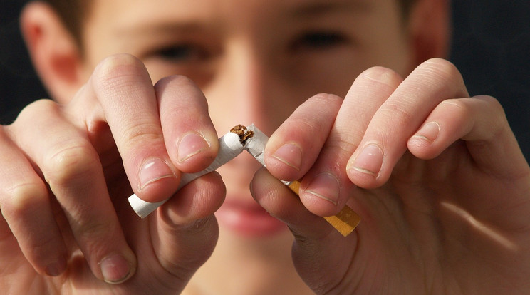 A dohányzás okozta egészségkárosodás egy-egy országban eurótizmilliárdokra tehető / Fotó: Pixabay