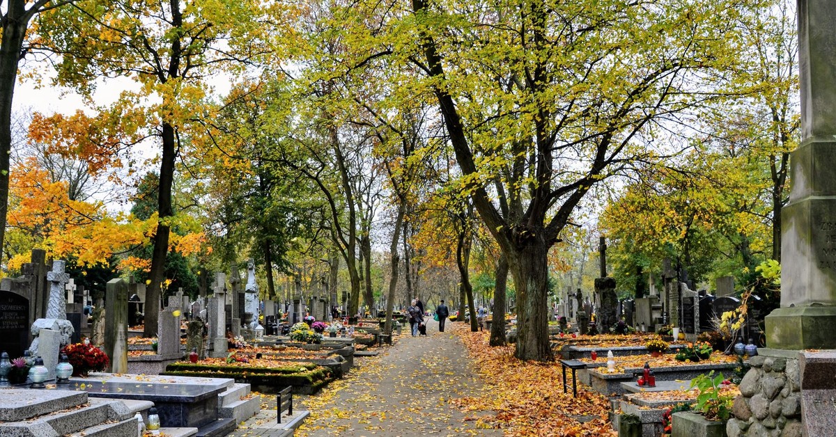 Wszystkich Świętych 1.11.2025 - sklepy otwarte? Czy zrobimy zakupy 1 listopada? Czy 2 listopada jest niedziela handlowa?