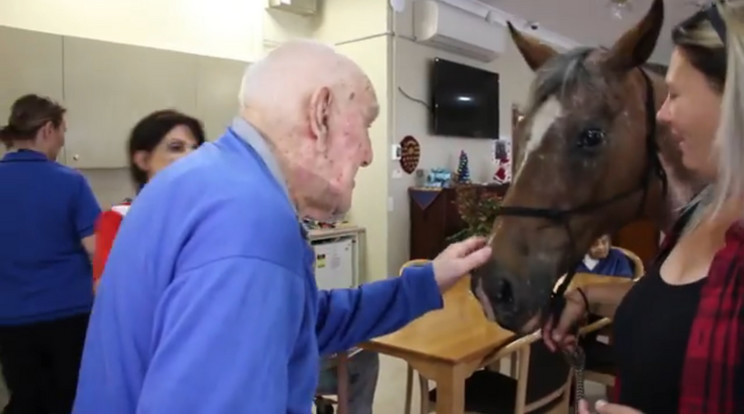 Megörültek az idős emberek a ló láttán / Fotó: YouTube