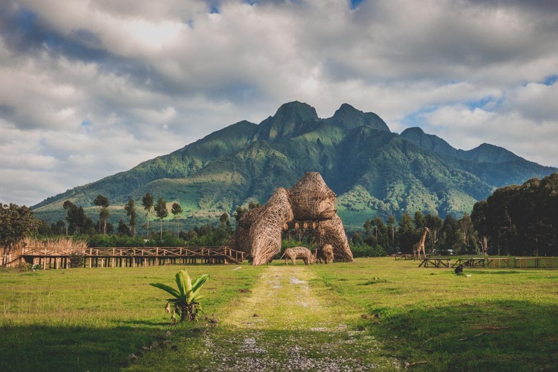 Ruhengeri Volcanoes National Park, Rwanda