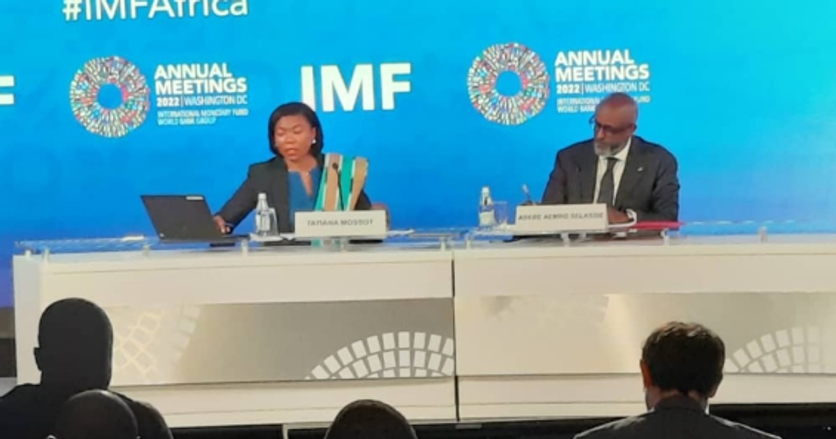 10 African countries with the highest IMF debt in November 2025