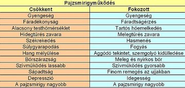 pajzsdieta1-d000012F5ce2670bb9733