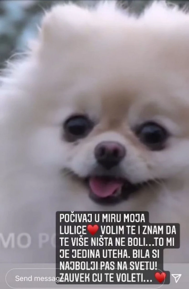 Anastasijin pas koji je preminuo