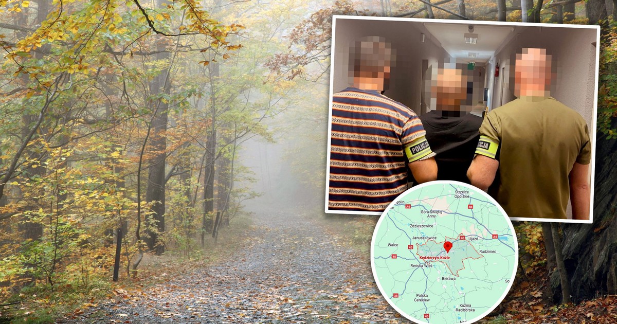 Spotkał przypadkowego mężczyznę w lesie i ciężko go pobił. Jest ruch policji