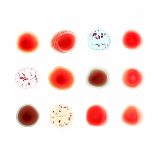 Peter Gabriel 'Scratch My Back/And I’ll Scratch Yours' - recenzja