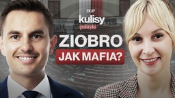 wiceminister sprawiedliwości myrcha: system ziobry zorganizowaną grupą