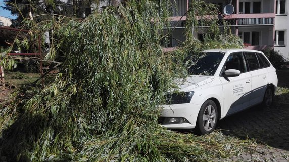 Nawałnica spustoszyła Osiedle Podwawelskie