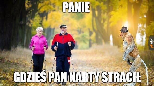 Najlepsze memy o jeździe na nartach