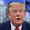Donald Tramp