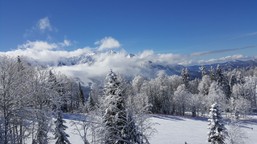 arktyczny atak zimy uderzy we wtorek. mróz do -30°c i potężne śnieżyce sparaliżują polskę. prognoza na styczeń 2026 imgw siarczysty mróz burze śnieżne zima 2026