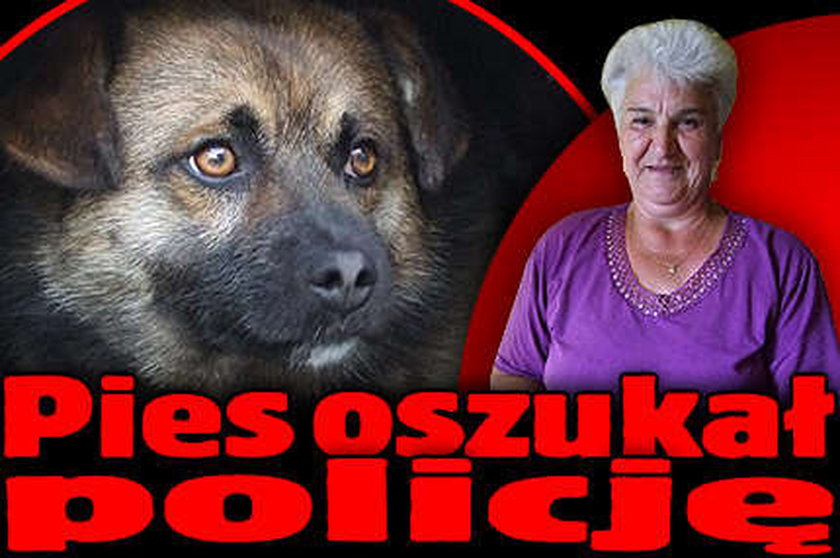 Pies oszukał policję