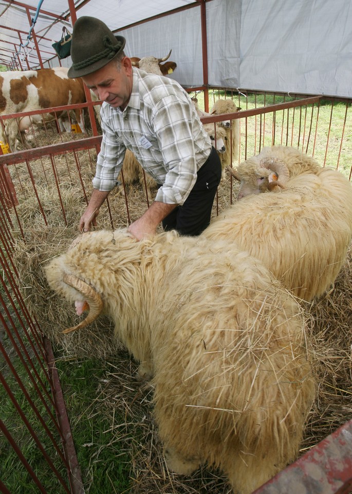 NAWOJOWA WYSTAWA ROLNICZA AGROPROMOCJA 2010