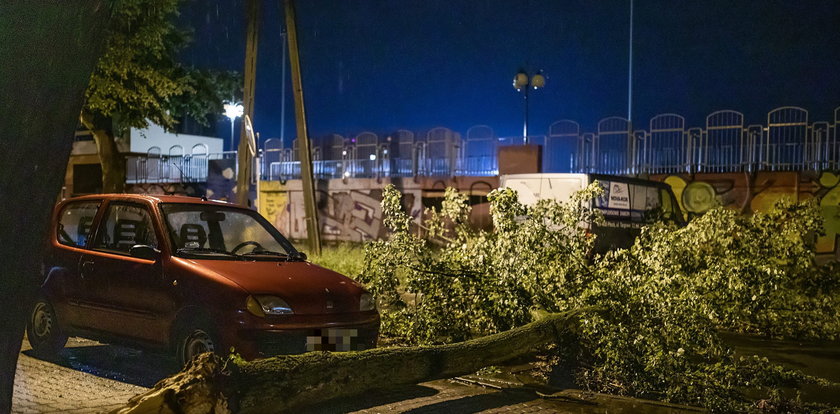 Halny w Tatrach. Silne porywy wiatru spowodowały spore zniszczenia, ale nie tylko