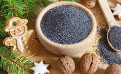 Czy mak jest zdrowy? Kto nie powinien go jeść? Przeczytaj zanim ugotujesz