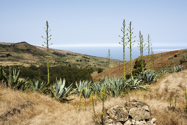 Krajobraz na wyspie El Hierro