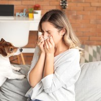 Állatszőr allergia - így csillapíthatók a tünetek