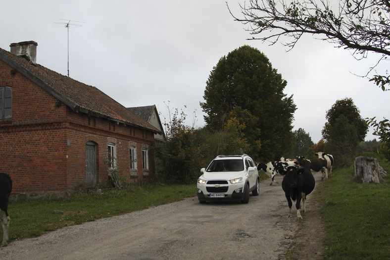 Zwiedzamy okolice Gołdapii z Chevroletem Captivą