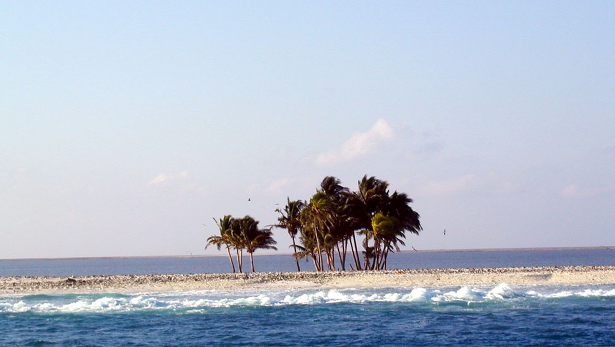 Ta samotna wyspa otrzymała nazwę od Johna Clippertona, pirata, który na początku XVIII w.