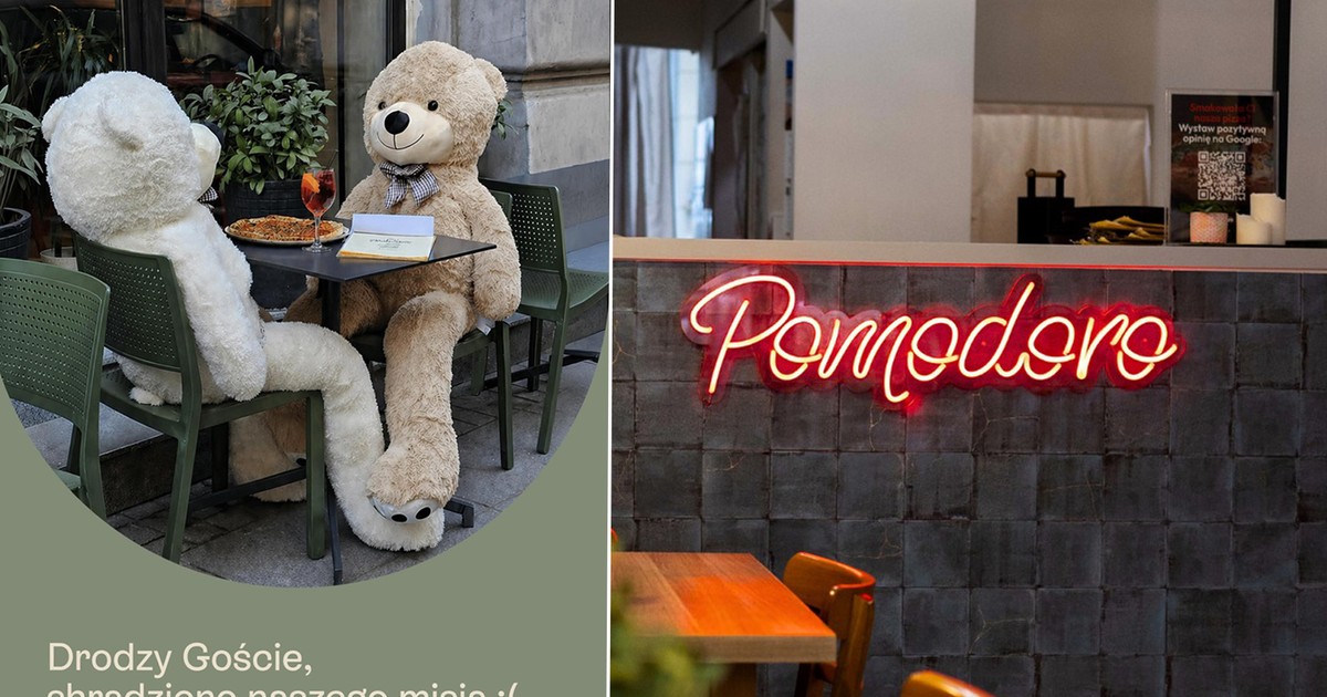Zniknięcie pluszowego misia z Łodzi: Tajemnica restauracji Pomodoro