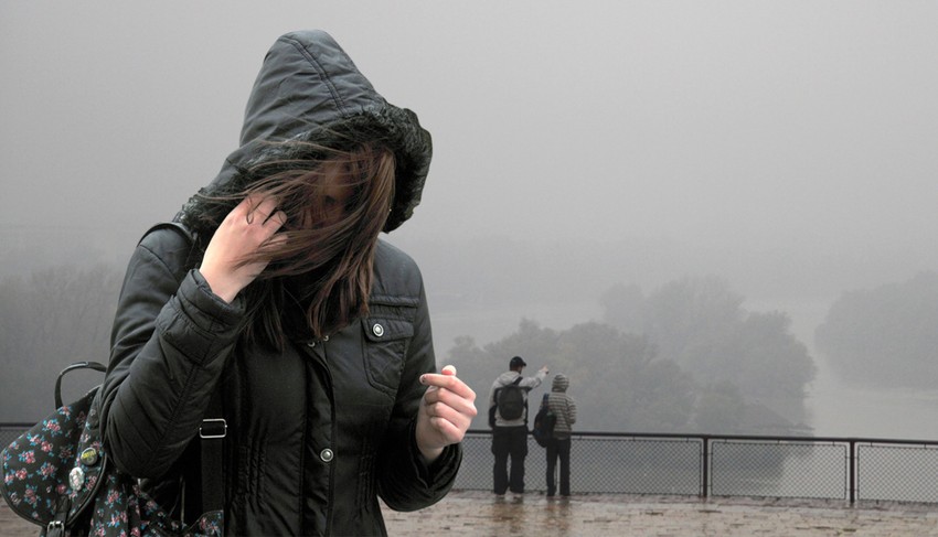 Foto: R. Getel, M. Mitrović