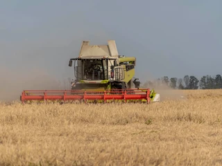 Żniwa w obwodzie charkowskim na Ukrainie