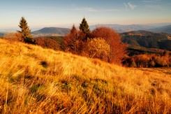 Babie lato w Polsce 2025. Kiedy nadejdzie? Oto prognoza pogody na październik. Czy doczekamy się 'złotej polskiej jesieni'? Wiemy już, kiedy nastąpią te pogodne i ciepłe dni!