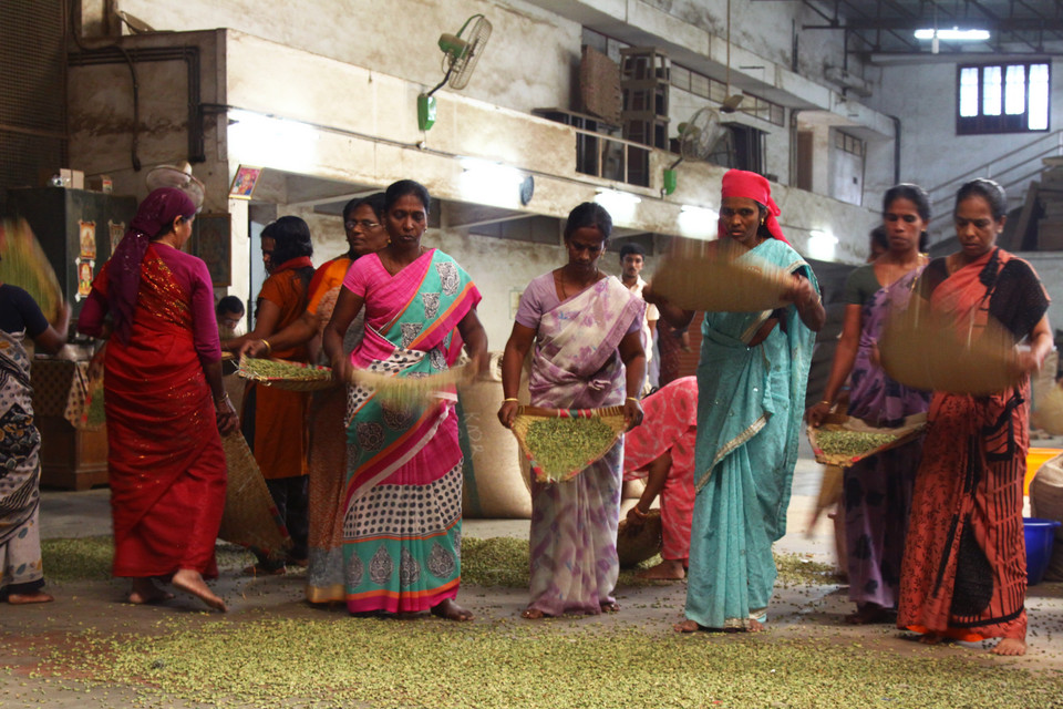 Kobiety w kolorowych sari przebierają kardamon, podrzucając go na tacach. Puste osłonki są lżejsze niż te pełne ziaren, wyskakują więc poza obręb tacy i spadają na podłogę.