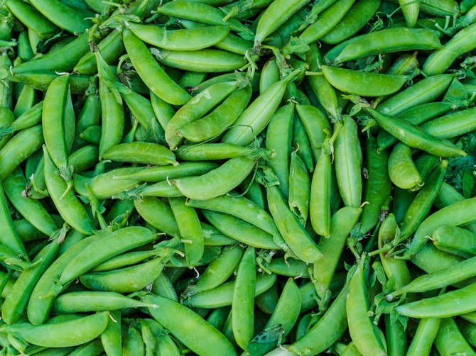 Boranija