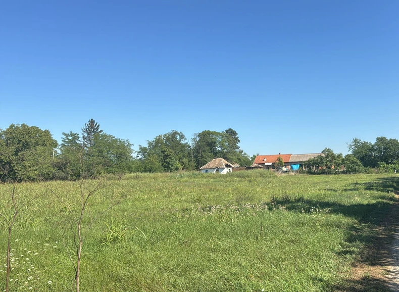 Njiva zbog kojeg je navodno došlo do ubistva: U pozadini je kuća ubijenog Igora 