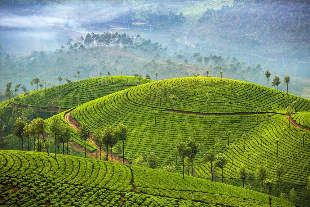 Srí Lanka