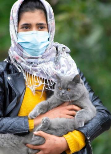 Uchodźcy przy białoruskiej granicy. Kot uciekł razem z rodziną z  Afganistanu - Noizz